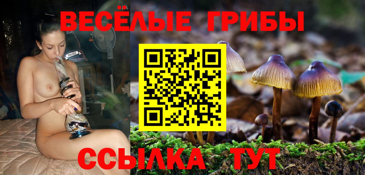 Галлюциногенные грибы MAGIC MUSHROOMS Заводоуковск