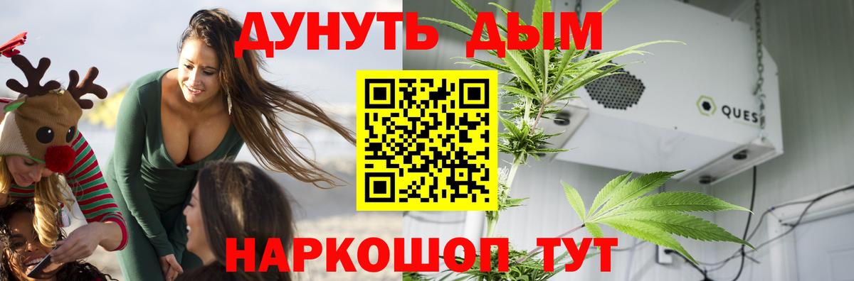 Каннабис White Widow  Бошки Шишки SATIVA & INDICA  Заводоуковск  Шишки марихуана гибрид  Вход с VPN  Бошки Шишки конопля 
